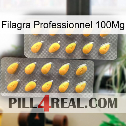 Filagra Professional 100Mg cialis2